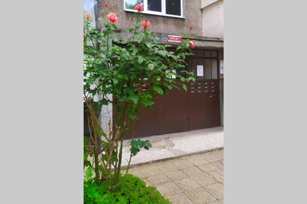 Lovely City Center 1Bd, 1Bt Apartment Sofia Extérieur photo